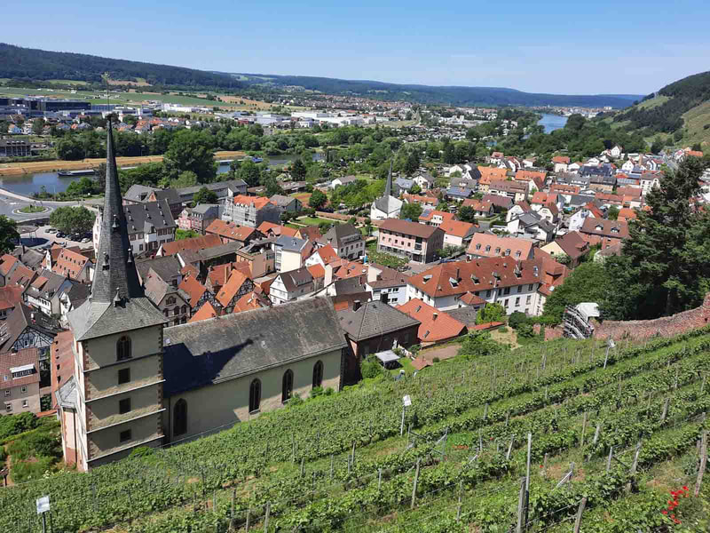 Blick von der Clingenburg auf Klingenberg und Main 
